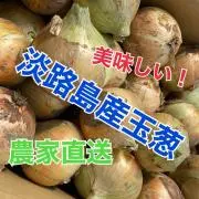 淡路島産玉葱 【新鮮！美味しい！】の画像
