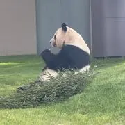 チーズの画像