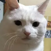ノリッジのカントさん