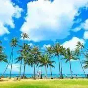 SUNtの画像
