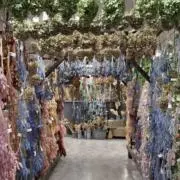 benimamaの画像