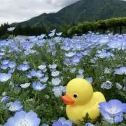 あおりんご♪の画像