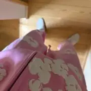 ちひろFLEXの画像