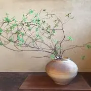 ちーちゃんの画像