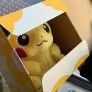 ぽんの画像