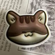 りすこ