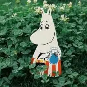 きぃちゃんさんさんの画像