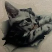 いきなり購入お断りしますの画像
