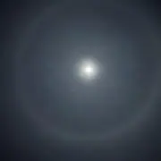 Dの画像