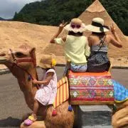 ミルキーの画像