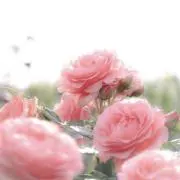 a◎の画像