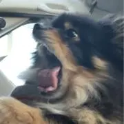 よなの画像