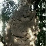 さらり