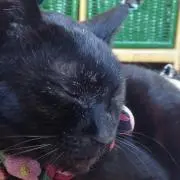こー