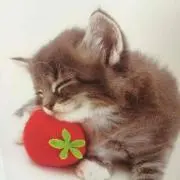 はるまま