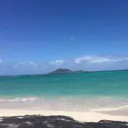 たこの画像
