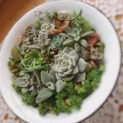 yu-saの画像
