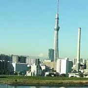 スカイ富士の画像