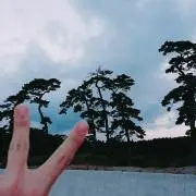 かめ