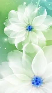ぽんたの画像
