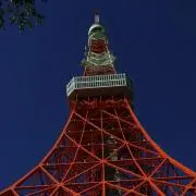 きりんちゃんの画像