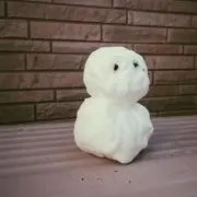 こんぶの画像