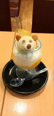 はるかの画像
