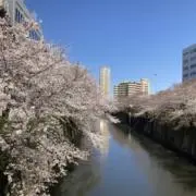 aaamiuの画像