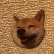 断捨離マミーの画像