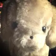 なつ