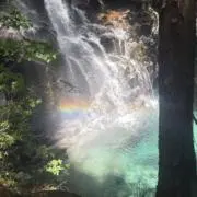 れちの画像