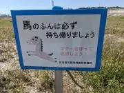 サブさんの画像