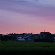 るるの画像