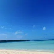 ckck1429の画像