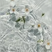 カーボン樹脂の画像