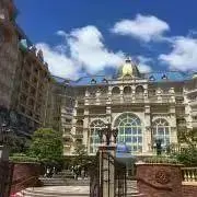 ちょこの画像