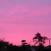 あんゆかの画像