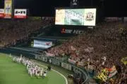 球児阪神(格安中)の画像