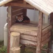 ひろ