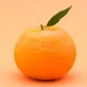 micanの画像