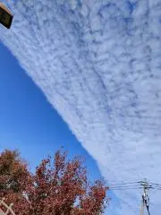 ぴゅありんの画像