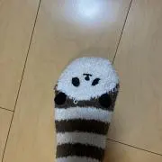 ぱんだの画像