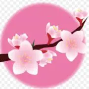 peach*