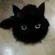 taka4の画像