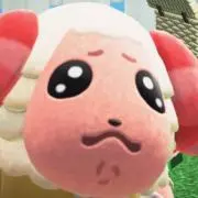mimiの画像
