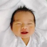 マルちゃんの画像