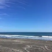 ハタケ。の画像