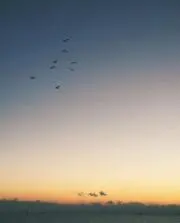 みの画像
