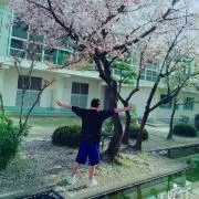 かーくん
