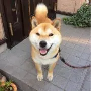 たんたん^ ^の画像